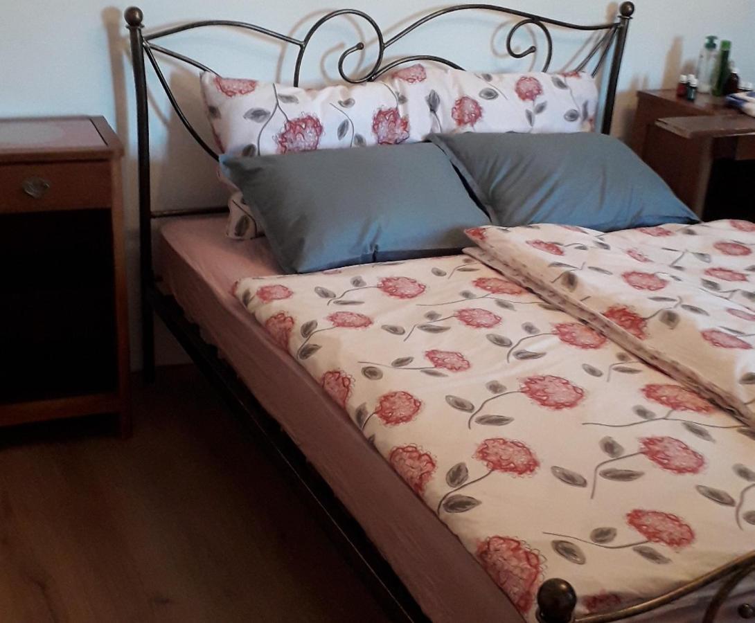 Ferienwohnung Vidin Raj Vremski Britof Exterior foto