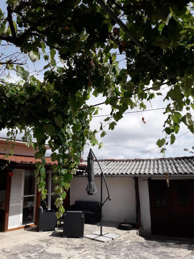 Ferienwohnung Vidin Raj Vremski Britof Exterior foto